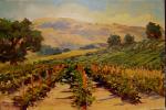 augustvineyards