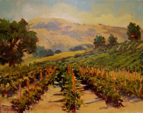 augustvineyards