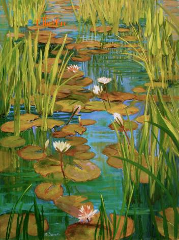 lillyponds2