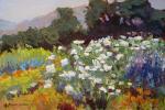 matilijasinthemeadow2