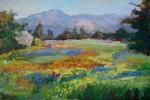 meanderingmeadow2
