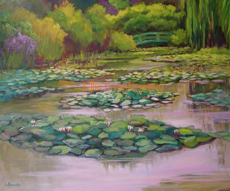 mylittlepond