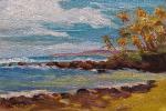 southshoresunshine